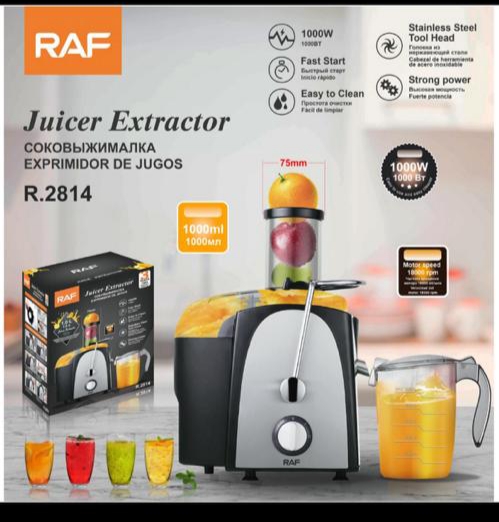 آب میوه گیر تک کاره راف مدل R.2814
