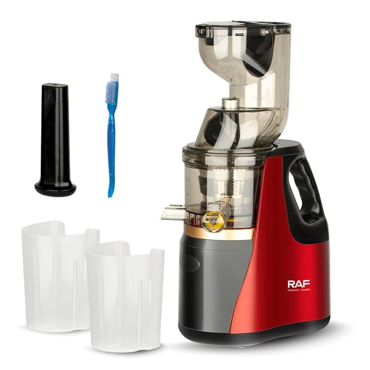 عصاره گیر حرفه ای راف مدل۲۸۳۱